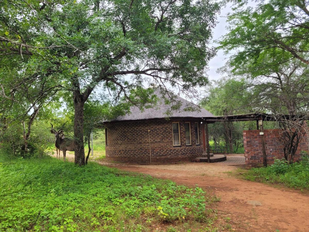 Hardekool Marloth Park