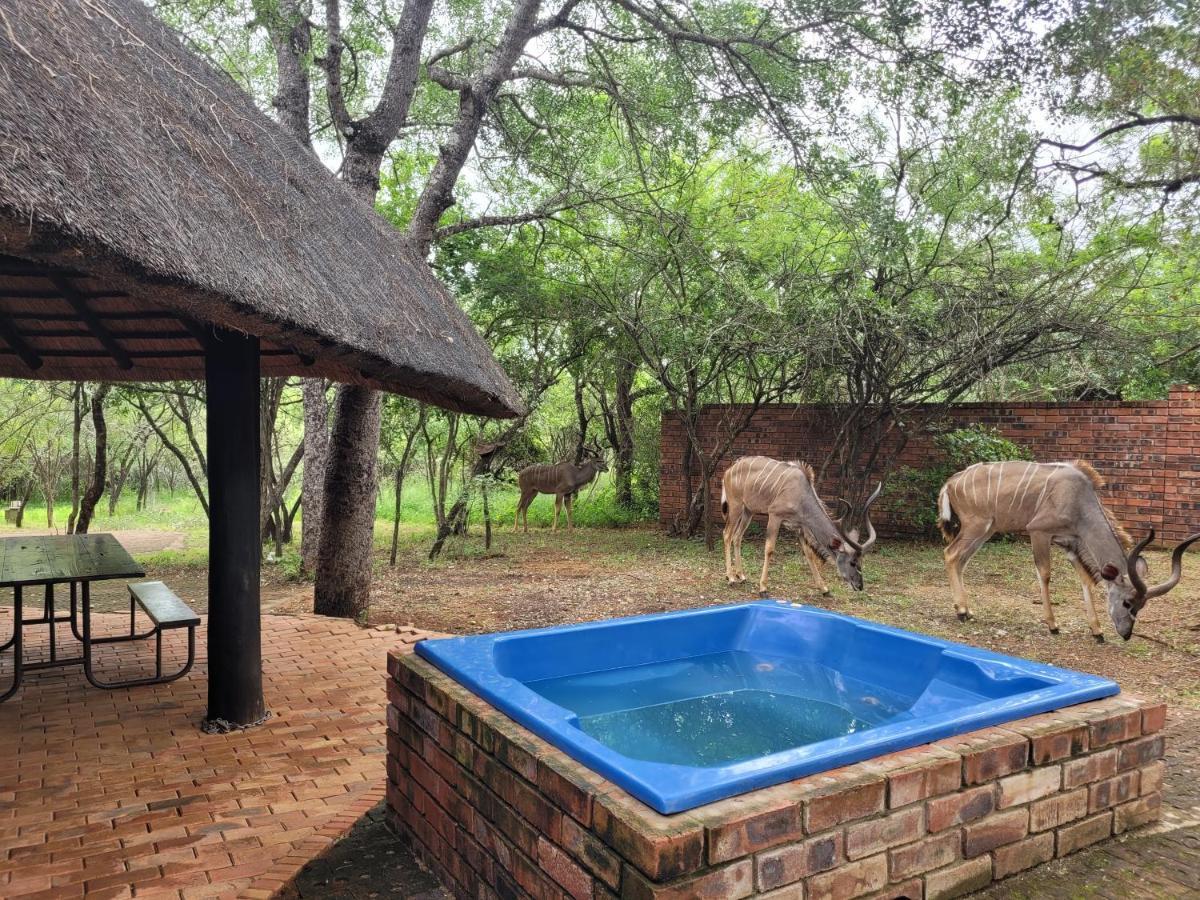 Holiday home Hardekool Marloth Park
